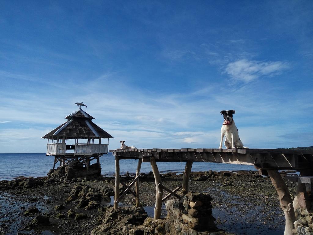 Paseo Del Mar Seaside Inn Jagna Exteriör bild
